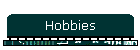 Hobbies