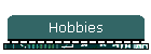 Hobbies