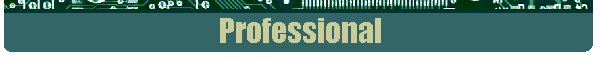 Professional