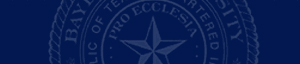 Society of Women Engineers